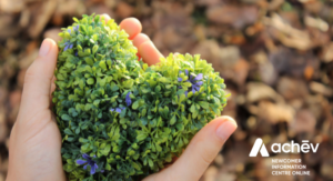 Hands holding a heart-shaped plant.